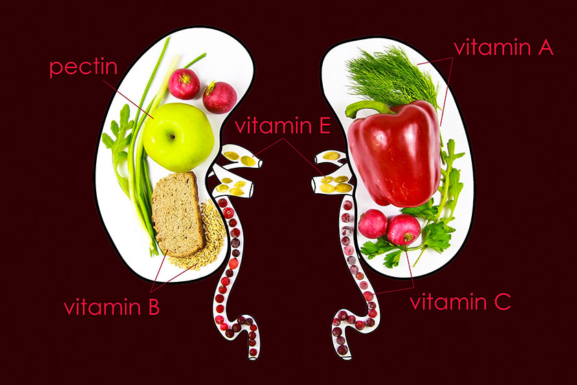The Guide To A Proper Dietary Program In An Assisted Living Residence In Simpsonville, SC For Effective Kidney Disease Management